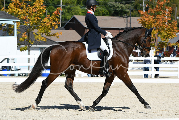 HSM_2515