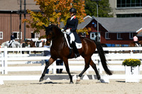 HSM_2517