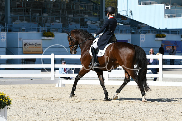 HSM_2537