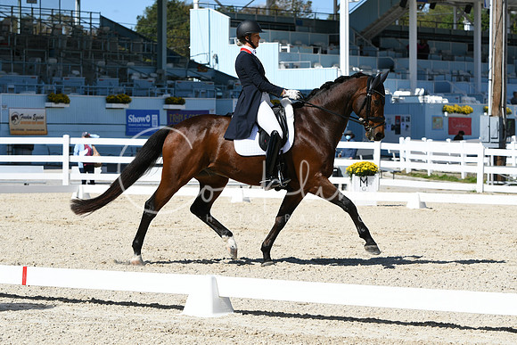 HSM_2539
