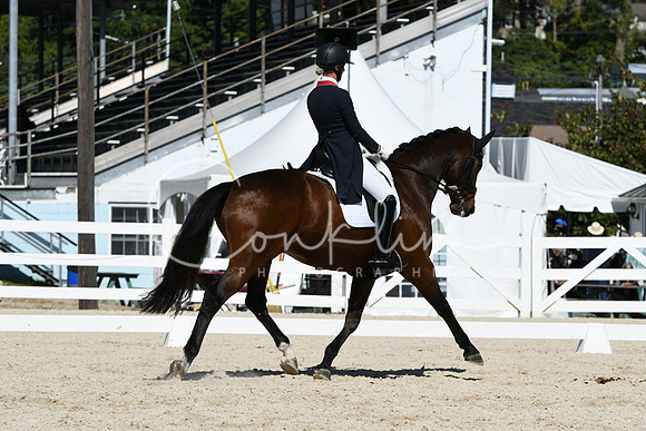 HSM_2544