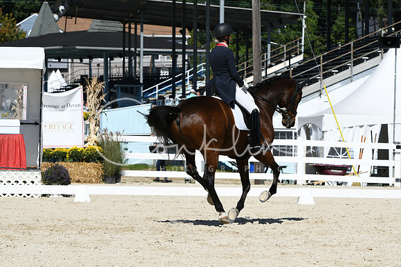 HSM_2580