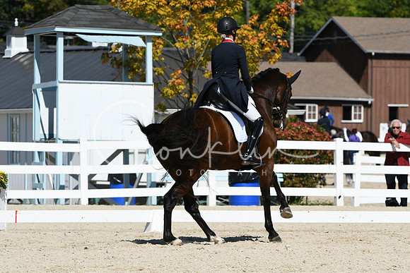 HSM_2582