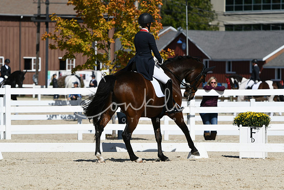 HSM_2584