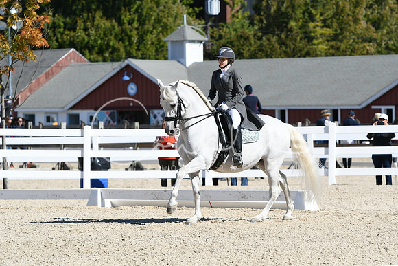 HSM_1431