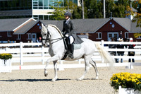 HSM_1433