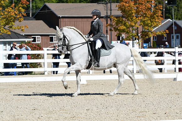 HSM_1435