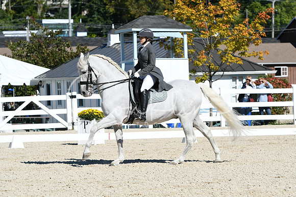 HSM_1437