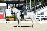 HSM_1439
