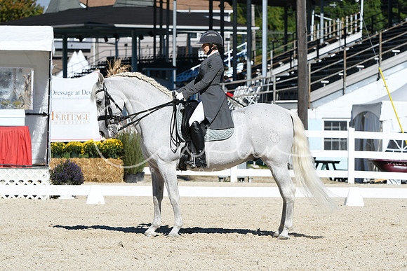 HSM_1439