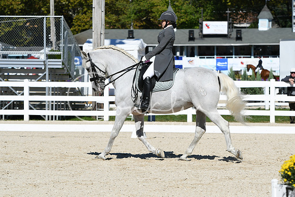 HSM_1441