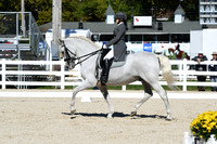 HSM_1440