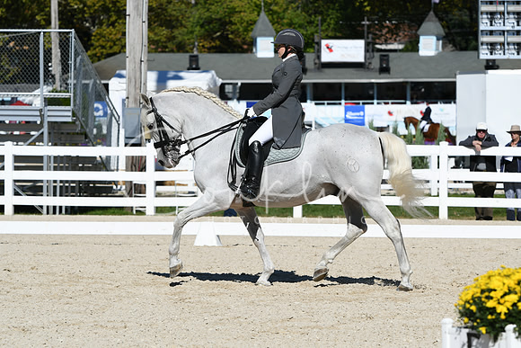 HSM_1440