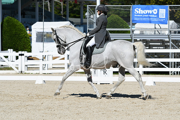 HSM_1443