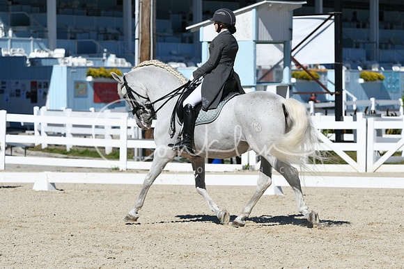 HSM_1445