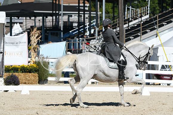 HSM_1452