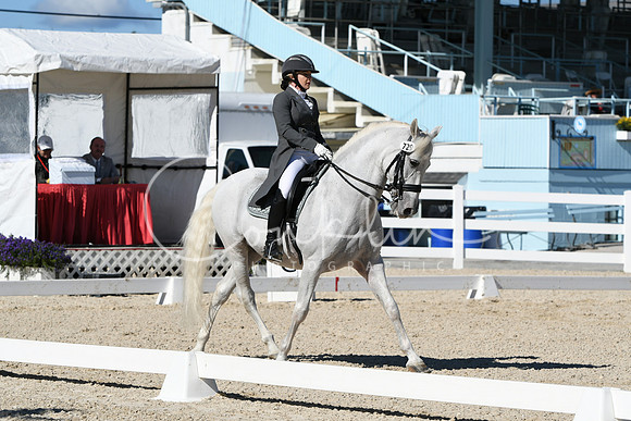 HSM_1462