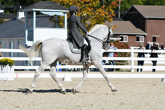 HSM_1475