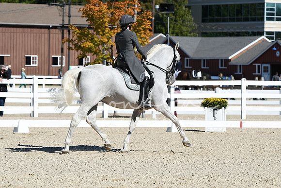 HSM_1479