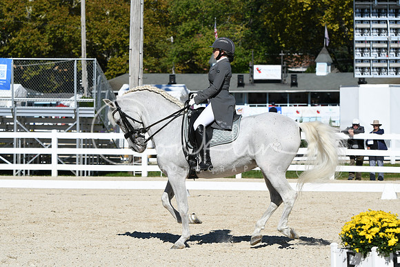 HSM_1494
