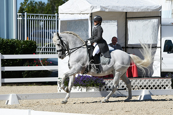 HSM_1497