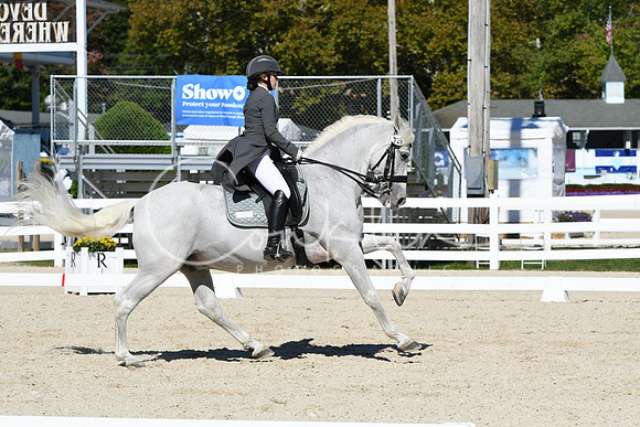 HSM_1501