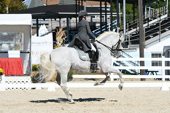 HSM_1503