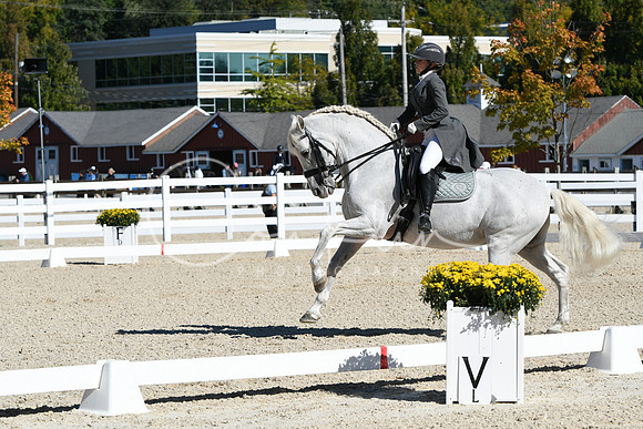 HSM_1510