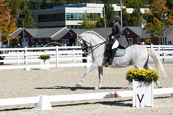 HSM_1511