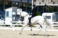 HSM_2077