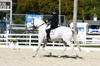 HSM_2076