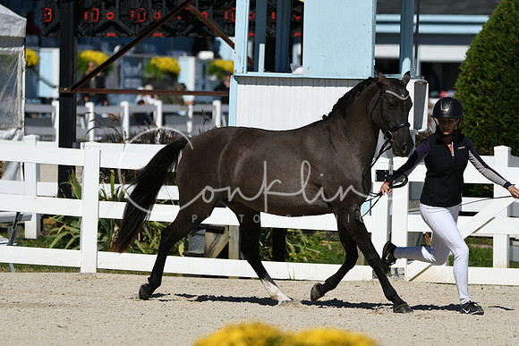 HSM_4663