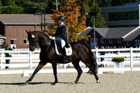 HSM_0817