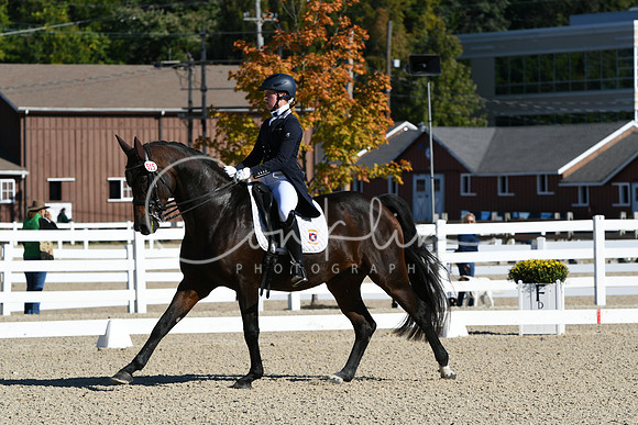 HSM_0817