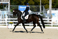 HSM_0822
