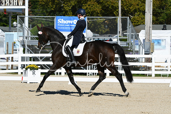HSM_0822