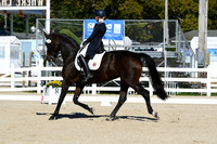 HSM_0823