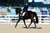 HSM_0826