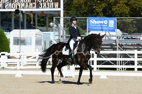 HSM_0828