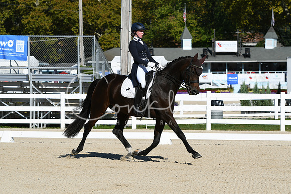 HSM_0831