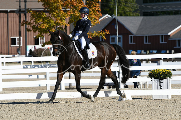 HSM_0839