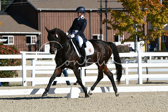 HSM_0840