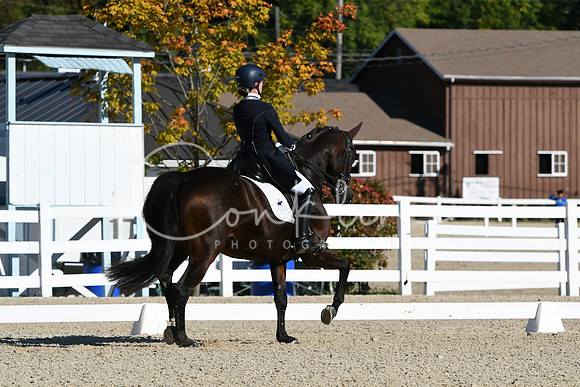 HSM_0869