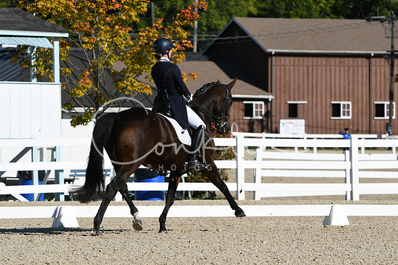 HSM_0870