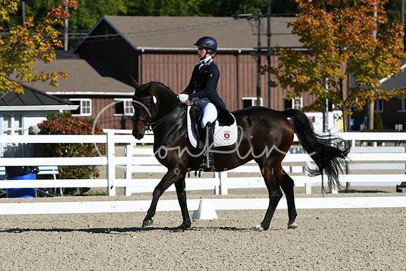 HSM_0877