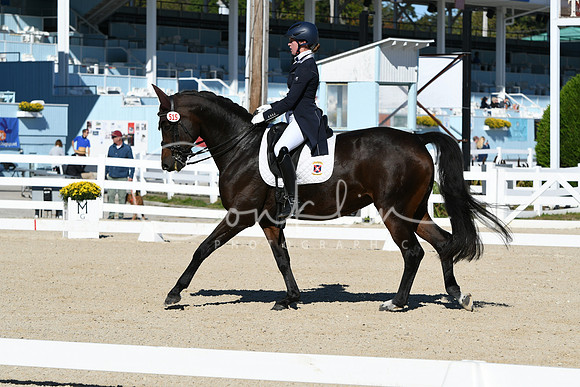 HSM_0886