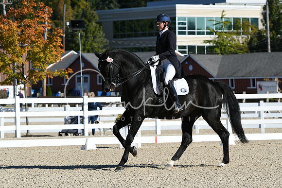 HSM_0942
