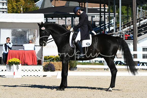 HSM_0946