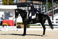 HSM_0947