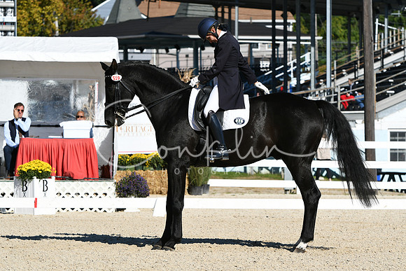 HSM_0947